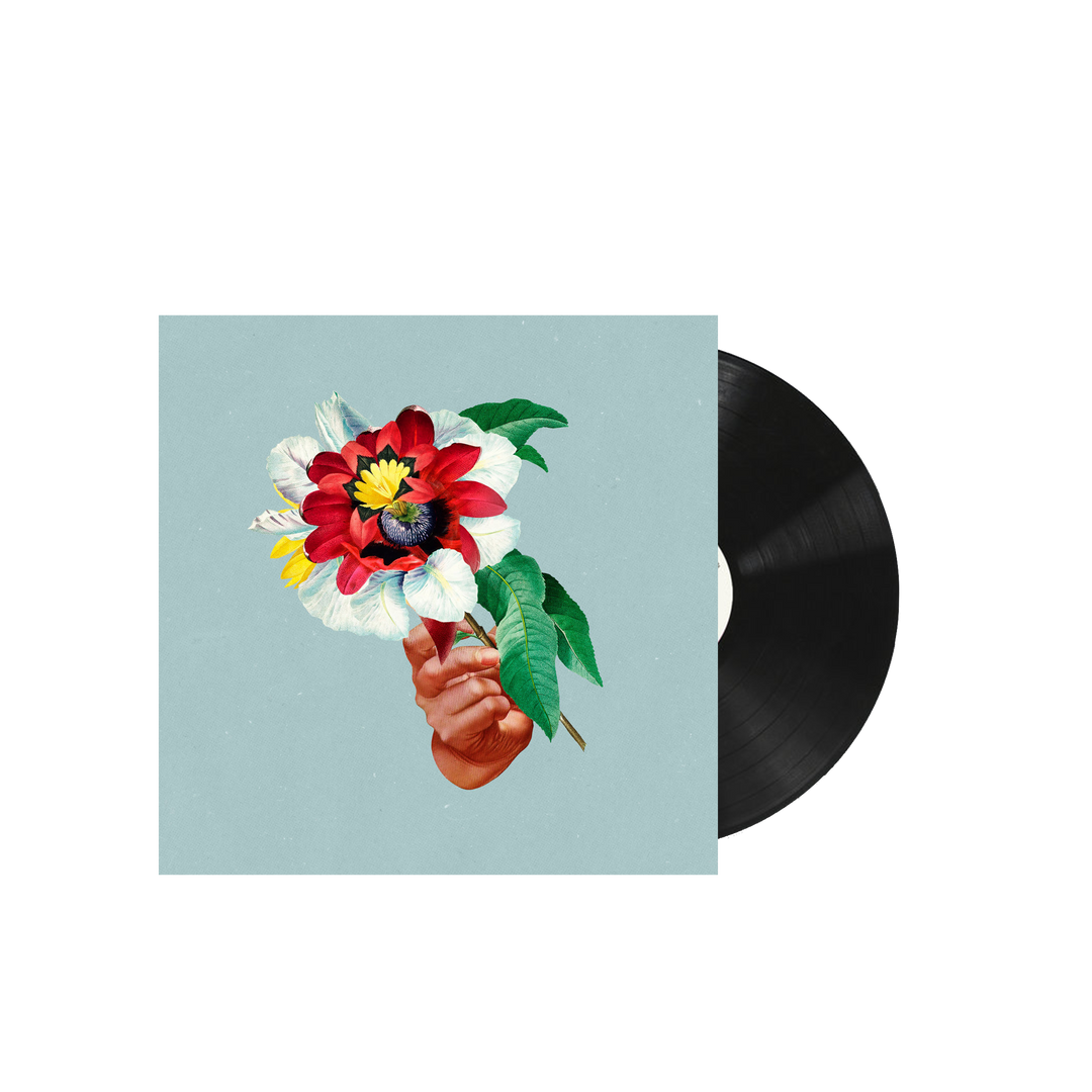 Kingdoms In Colour LP