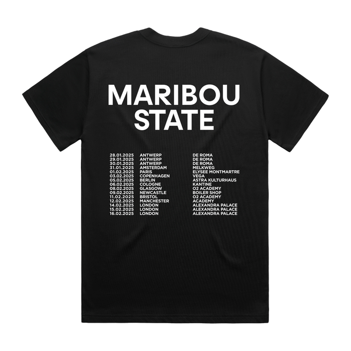 Hallucinating Love | 2025 Tour Tee